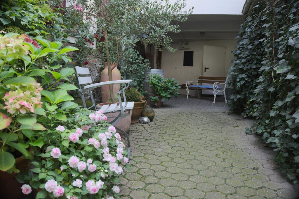 Hotel Garni Altes Winzerhaus Moselschaenke โคเบิร์น-กอนดอร์ฟ ภายนอก รูปภาพ